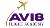 avi8flightacademy.com