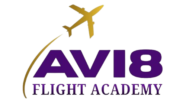 avi8flightacademy.com